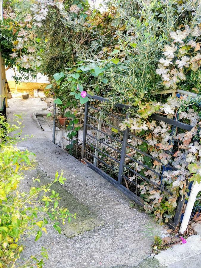 Amazing Apartment 100 Meters From The Old Town Rhodes City Екстериор снимка